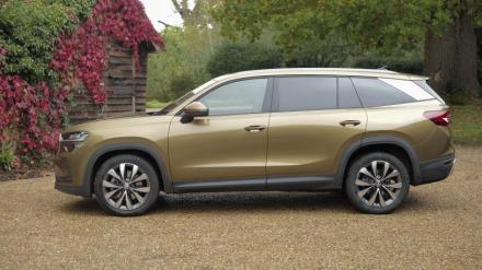 Skoda Kodiaq Estate 2.0 TSI 204 SE L 4X4 5dr DSG [7 Seat]